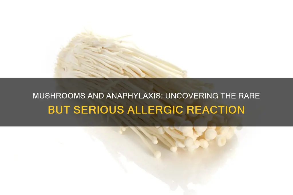 can mushrooms cause anaphylaxis
