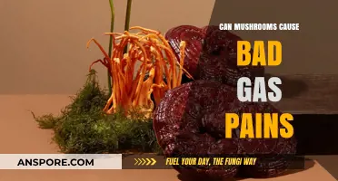 Mushrooms and Gas Pains: Uncovering the Truth Behind Digestive Discomfort