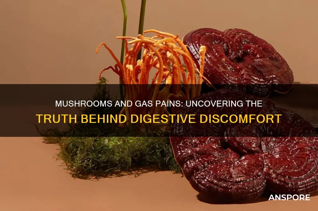 can mushrooms cause bad gas pains