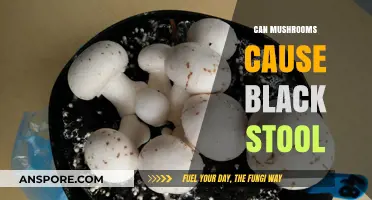 Mushrooms and Black Stool: Unraveling the Connection and Potential Causes