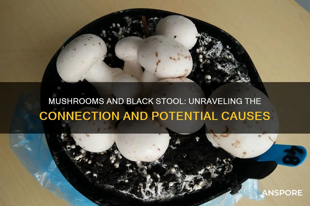 can mushrooms cause black stool