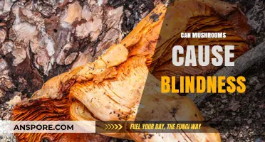Can Certain Mushrooms Lead to Vision Loss or Blindness?