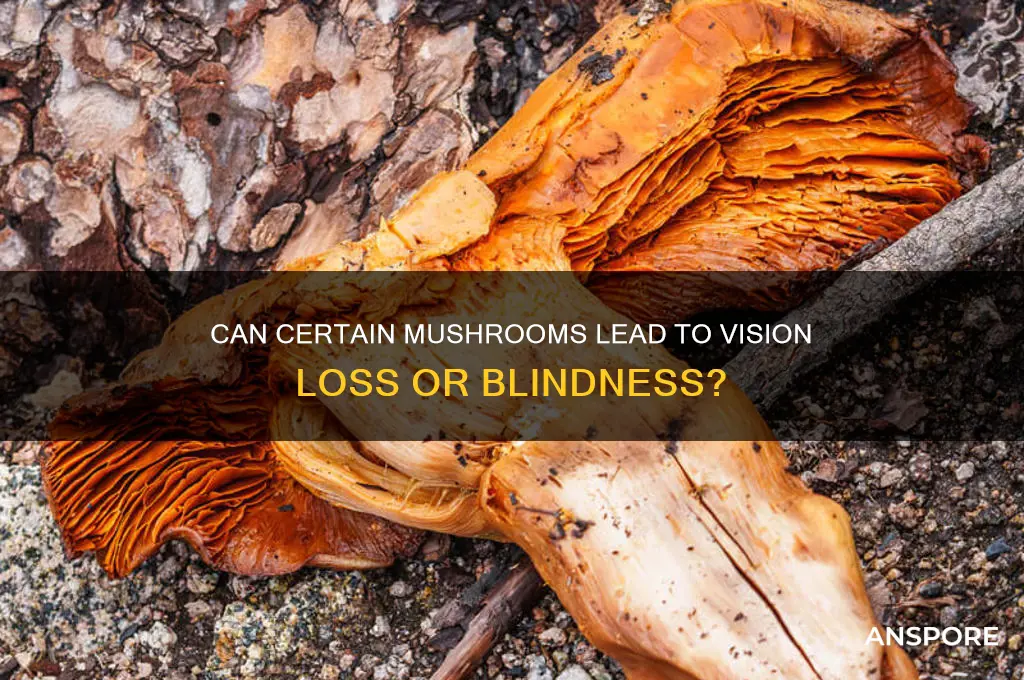 can mushrooms cause blindness