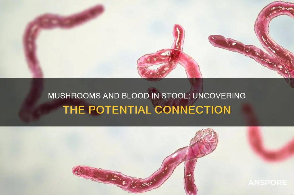 can mushrooms cause blood in stool