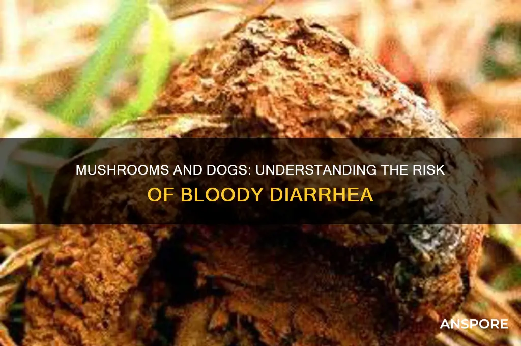 can mushrooms cause bloody diarrhea in dogs