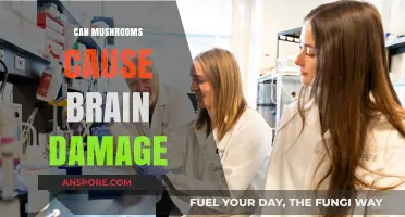 Mushrooms and Brain Health: Separating Fact from Fiction on Potential Risks