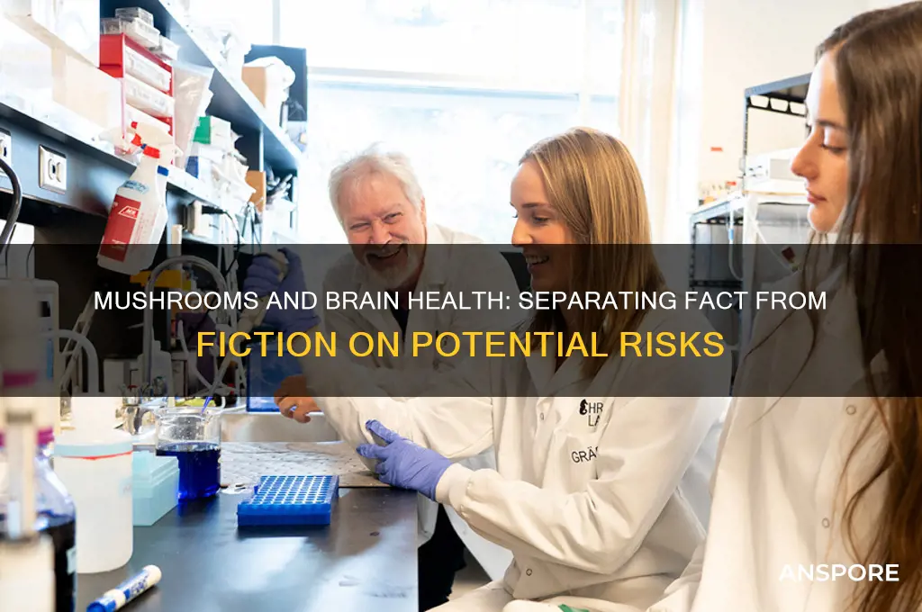 can mushrooms cause brain damage