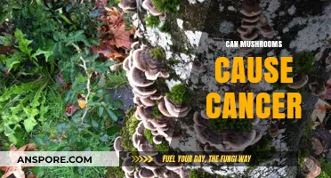 Mushrooms and Cancer: Unraveling the Truth Behind the Health Claims