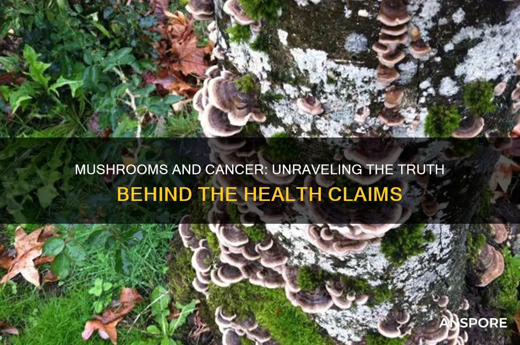 can mushrooms cause cancer