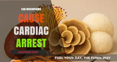Mushrooms and Heart Health: Unraveling the Cardiac Arrest Connection