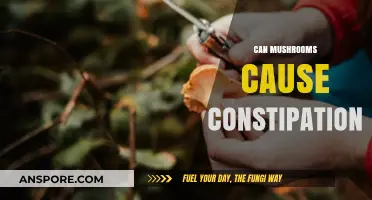 Can Mushrooms Cause Constipation? Exploring the Surprising Digestive Effects