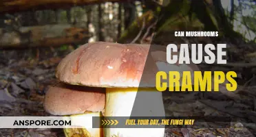Mushrooms and Cramps: Unraveling the Truth Behind Digestive Discomfort