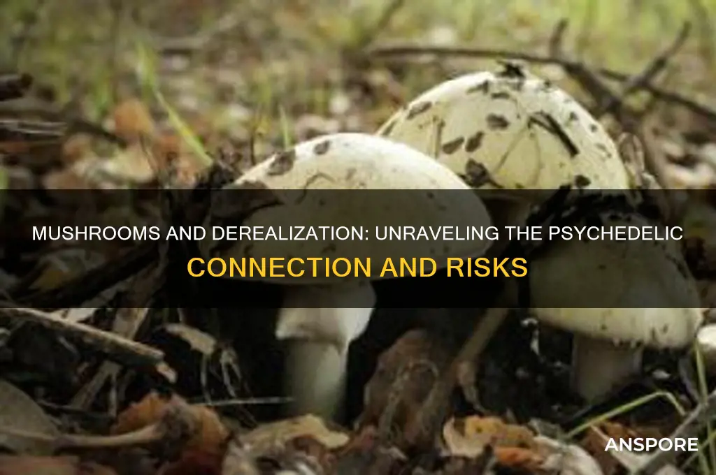 can mushrooms cause derealization