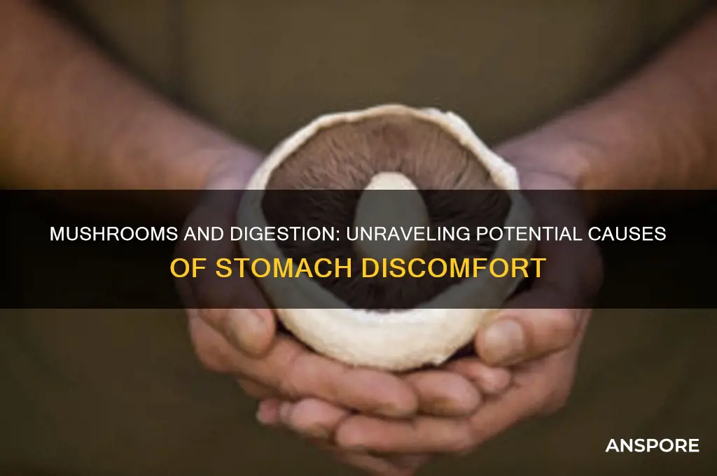 can mushrooms cause digestive problems