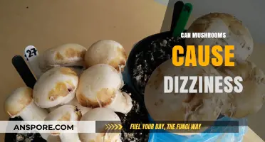 Can Mushrooms Cause Dizziness? Exploring the Surprising Side Effects