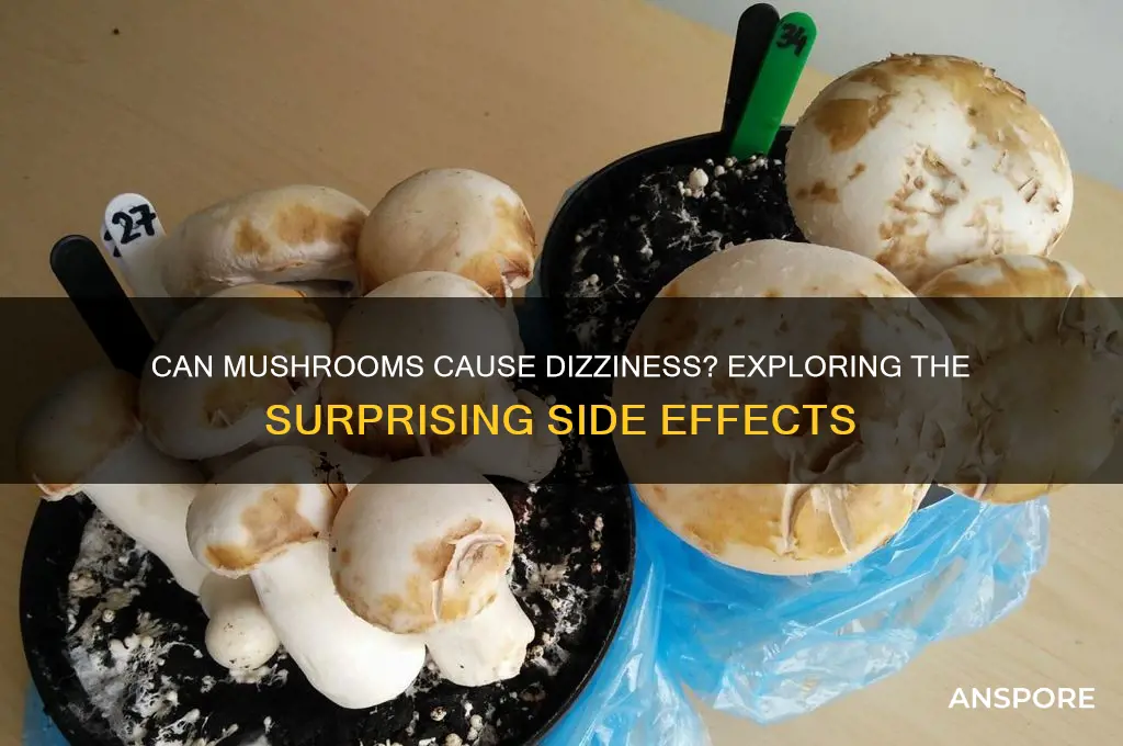 can mushrooms cause dizziness