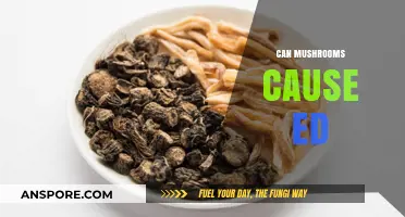 Mushrooms and Erectile Dysfunction: Unraveling the Surprising Connection
