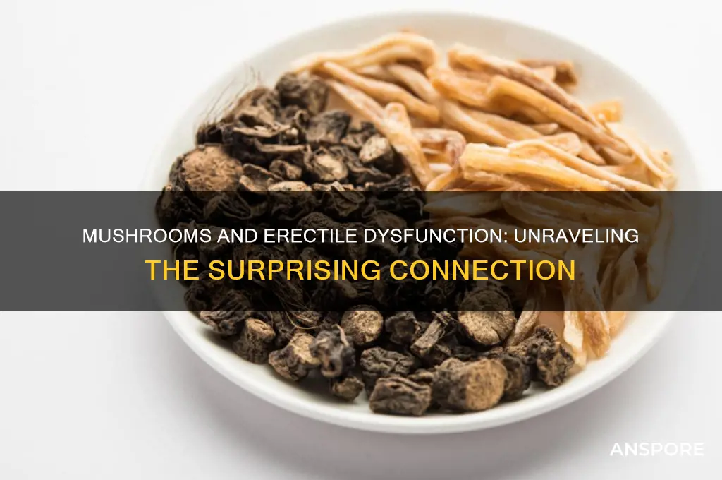 can mushrooms cause ed