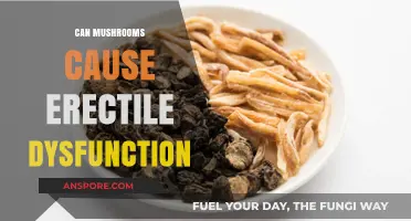 Mushrooms and Erectile Dysfunction: Unraveling the Surprising Connection