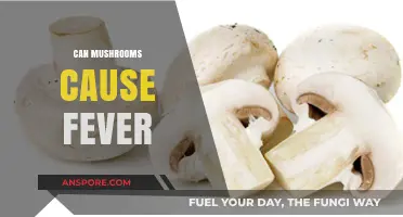 Can Mushrooms Trigger Fever? Exploring the Surprising Connection