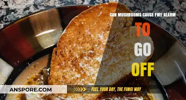 Can Cooking Mushrooms Trigger Your Fire Alarm? Surprising Facts Revealed
