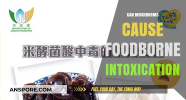 Can Mushrooms Lead to Foodborne Intoxication? Risks and Prevention Tips