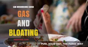 Mushrooms and Digestive Discomfort: Unraveling Gas and Bloating Concerns