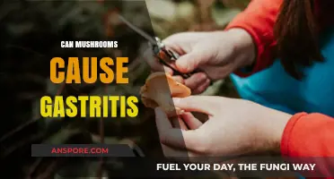 Can Mushrooms Trigger Gastritis? Exploring the Risks and Facts