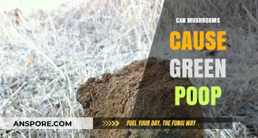 Mushrooms and Green Poop: Unraveling the Surprising Connection