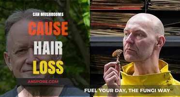 Mushrooms and Hair Loss: Unraveling the Surprising Connection
