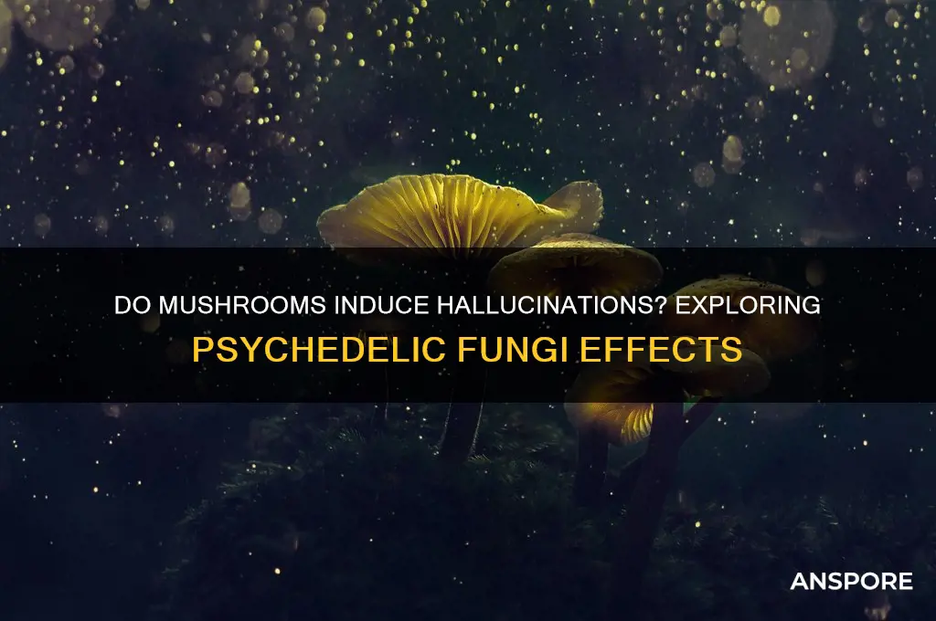 can mushrooms cause hallucinations