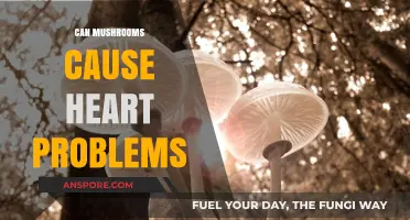 Mushrooms and Heart Health: Uncovering Potential Risks and Concerns
