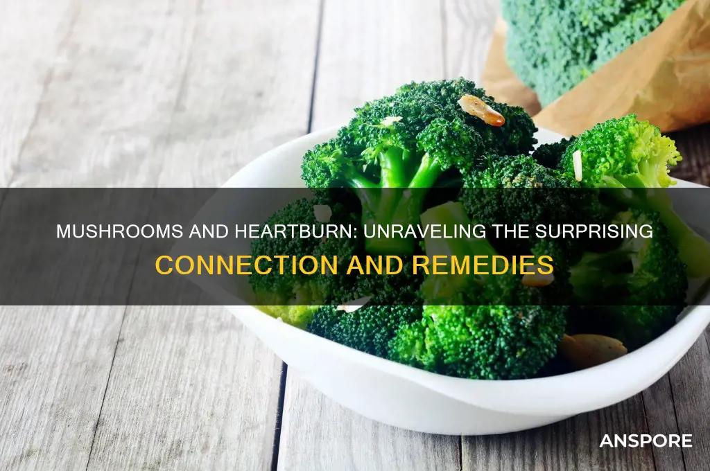 can mushrooms cause heartburn