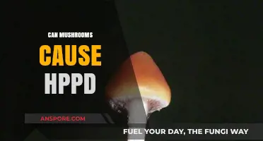 Can Mushrooms Trigger HPPD? Exploring the Psychedelic Connection