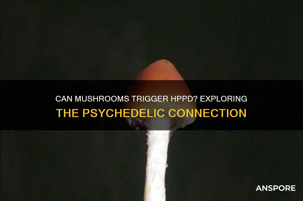can mushrooms cause hppd