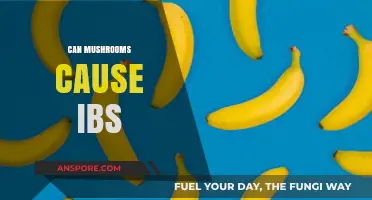 Mushrooms and IBS: Unraveling the Potential Connection and Symptoms
