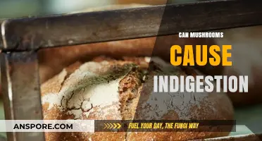 Mushrooms and Indigestion: Unraveling the Digestive Impact of Fungi