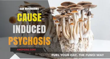 Mushrooms and Mental Health: Exploring Induced Psychosis Risks