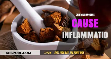 Mushrooms and Inflammation: Uncovering the Truth Behind Their Impact