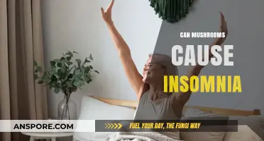 Mushrooms and Sleep: Unraveling the Insomnia Connection