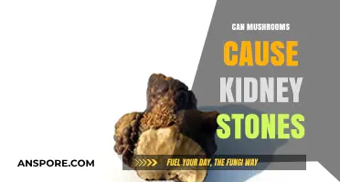 Mushrooms and Kidney Stones: Unraveling the Connection and Risks