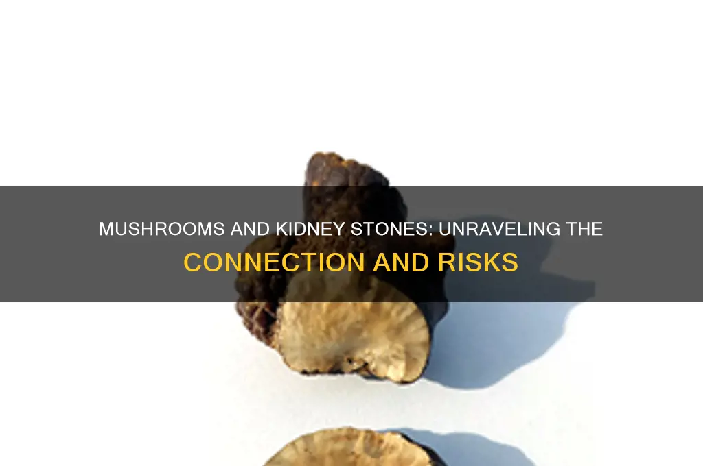 can mushrooms cause kidney stones