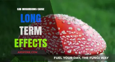 Mushrooms' Long-Term Effects: Uncovering Potential Health Impacts and Risks