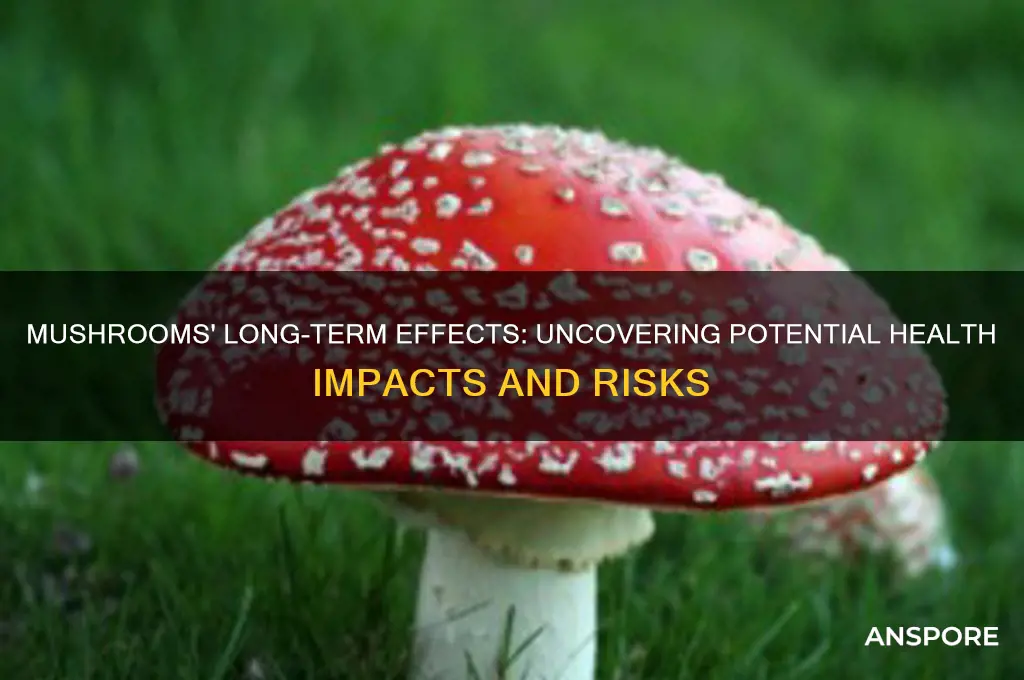 can mushrooms cause long term effects
