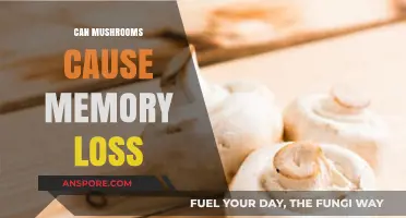 Mushrooms and Memory Loss: Unraveling the Truth Behind the Myth