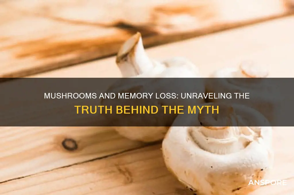 can mushrooms cause memory loss