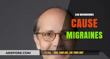 Mushrooms and Migraines: Unraveling the Potential Triggers and Connections