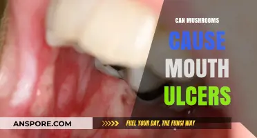 Mushrooms and Mouth Ulcers: Unraveling the Surprising Connection