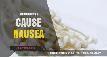 Can Mushrooms Cause Nausea? Understanding Symptoms and Risks