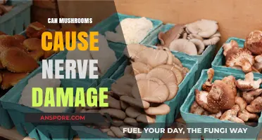 Mushrooms and Nerve Damage: Uncovering Potential Risks and Facts
